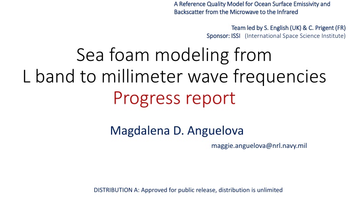 a reference quality model for ocean surface