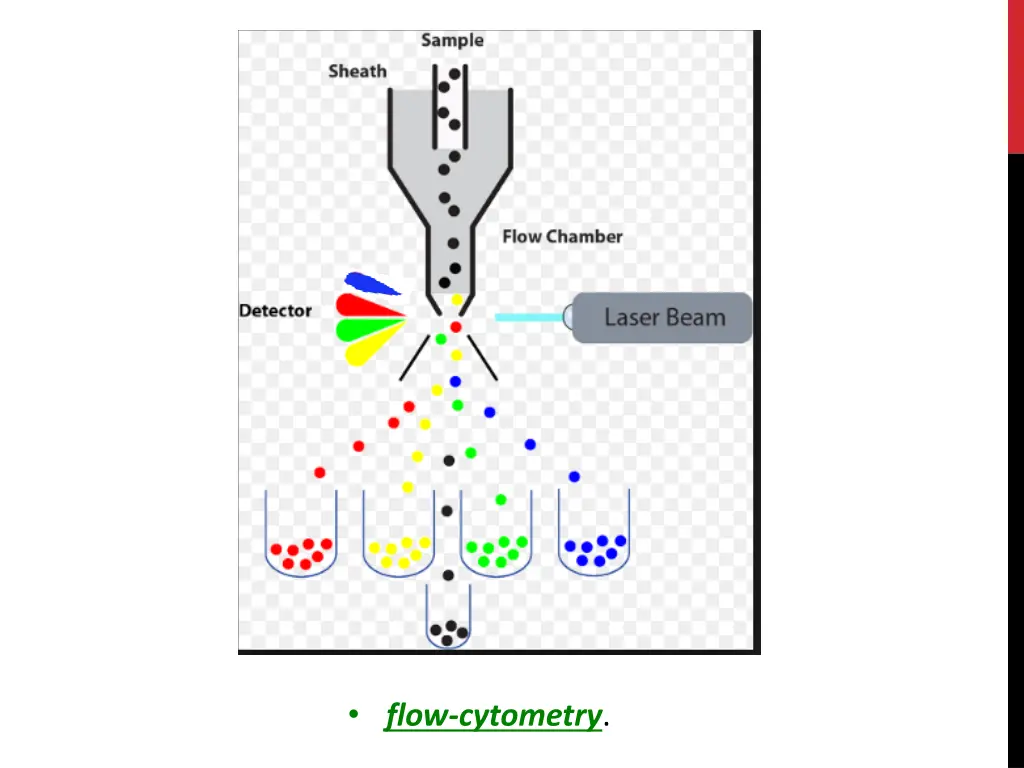 flow cytometry