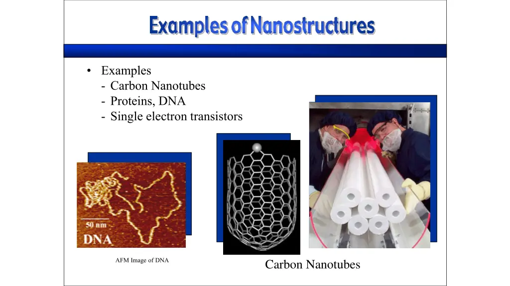 examples carbon nanotubes proteins dna single