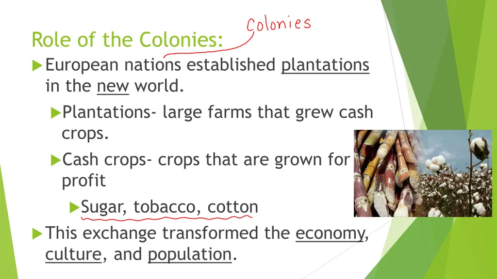 role of the colonies european nations established