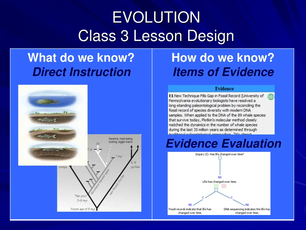 evolution class 3 lesson design