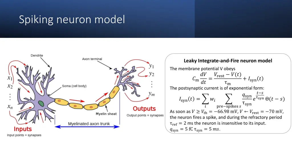 spiking neuron model