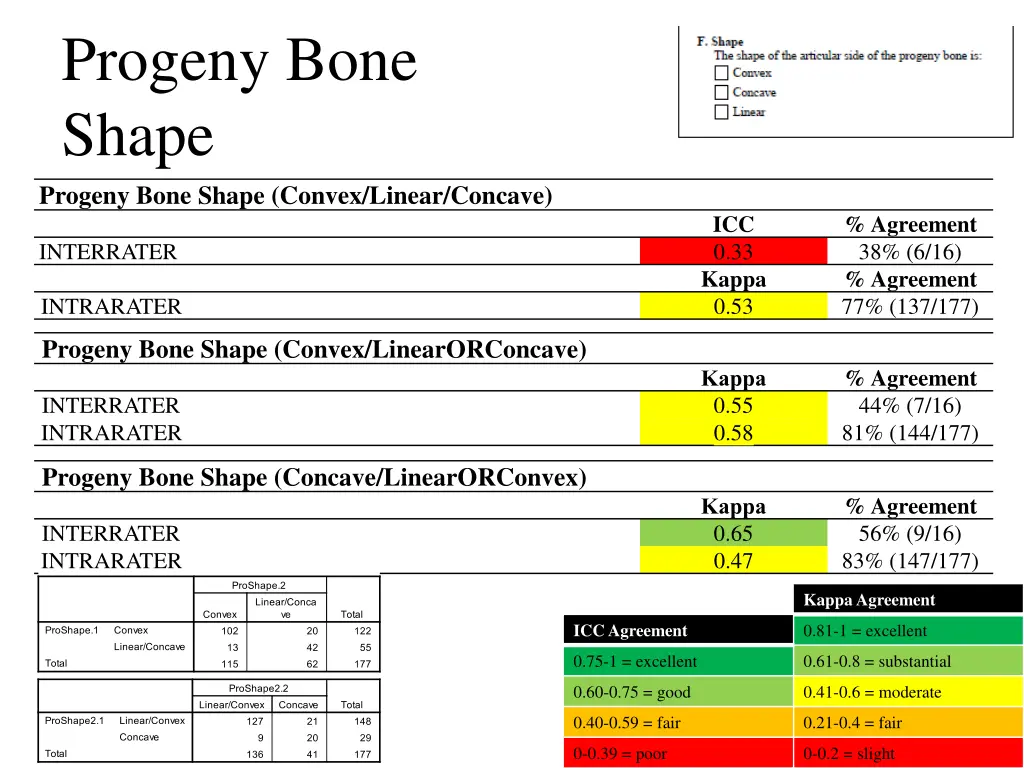 progeny bone shape progeny bone shape convex