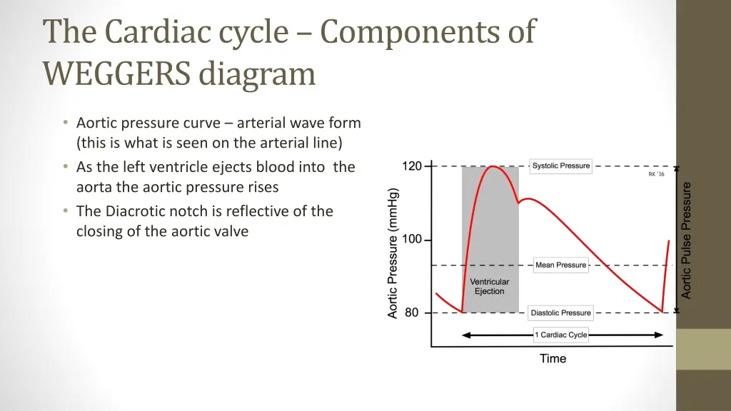 the cardiac cycle components of weggers diagram