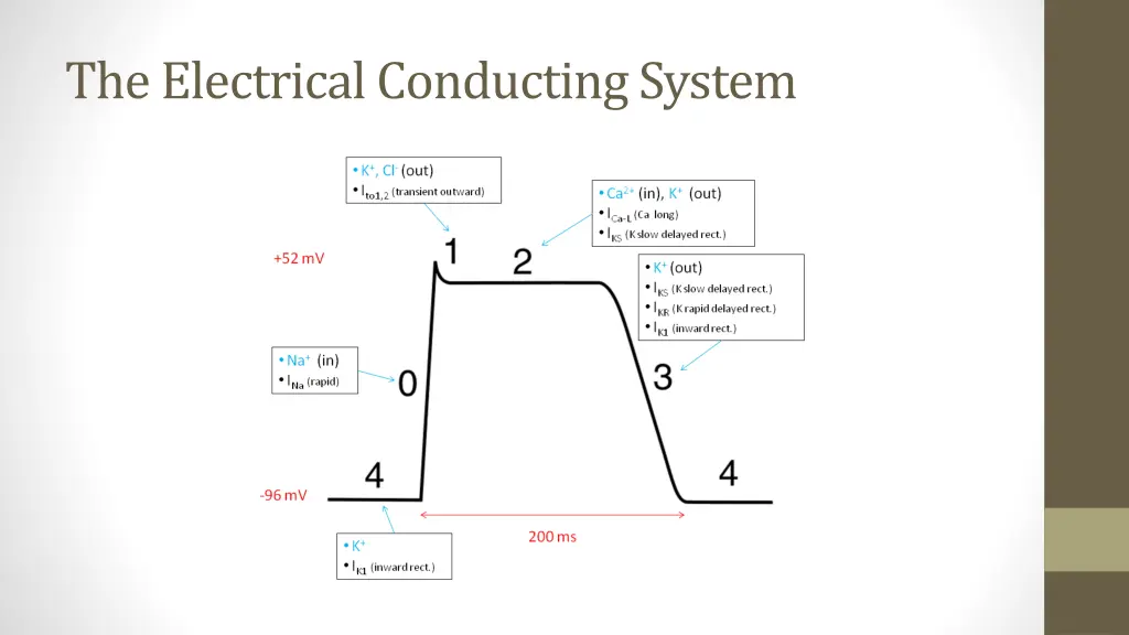 the electrical conducting system 1