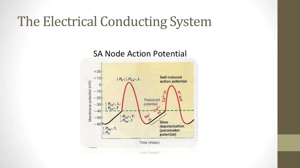 the electrical conducting system 2