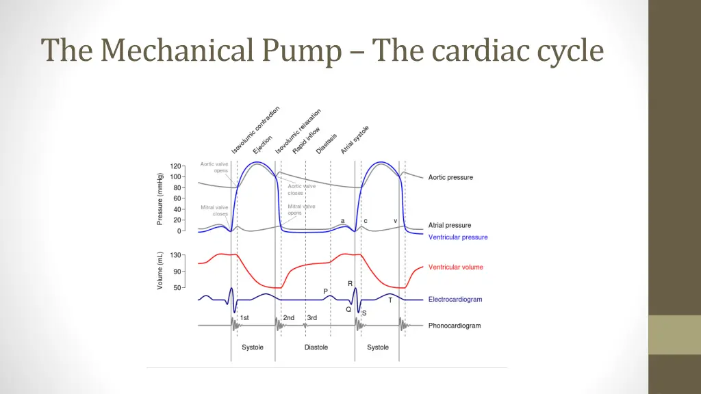 the mechanical pump the cardiac cycle