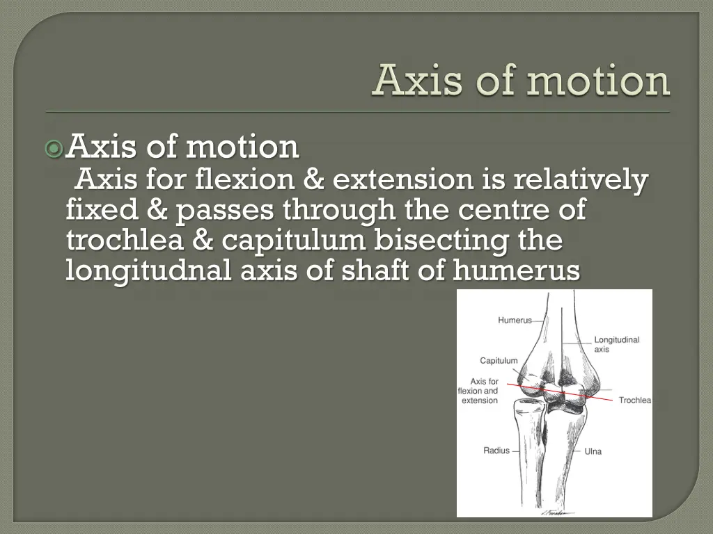 axis of motion axis for flexion extension