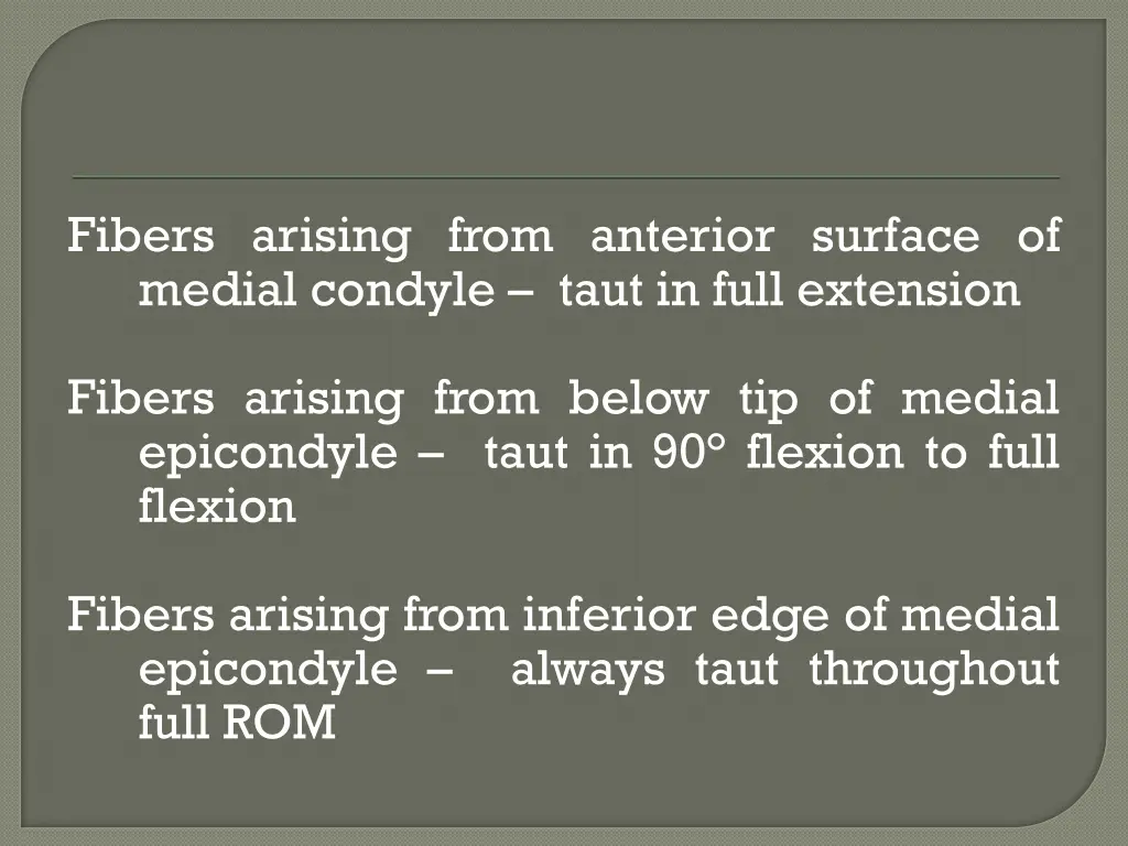 fibers arising from anterior surface of medial