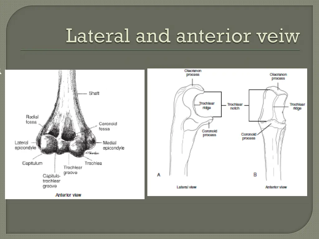 slide8