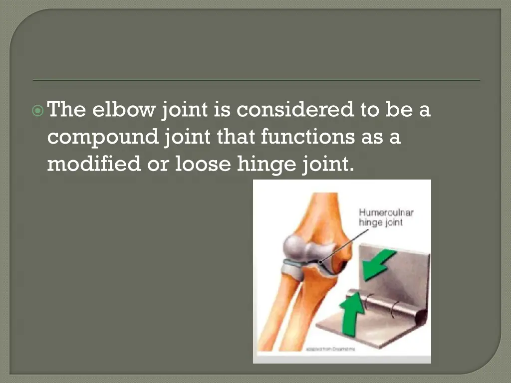 the elbow joint is considered to be a compound