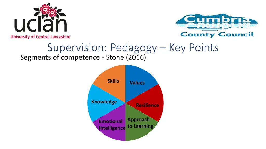 supervision pedagogy key points segments