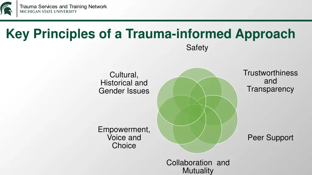 key principles of a trauma informed approach