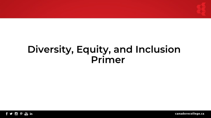 diversity equity and inclusion primer