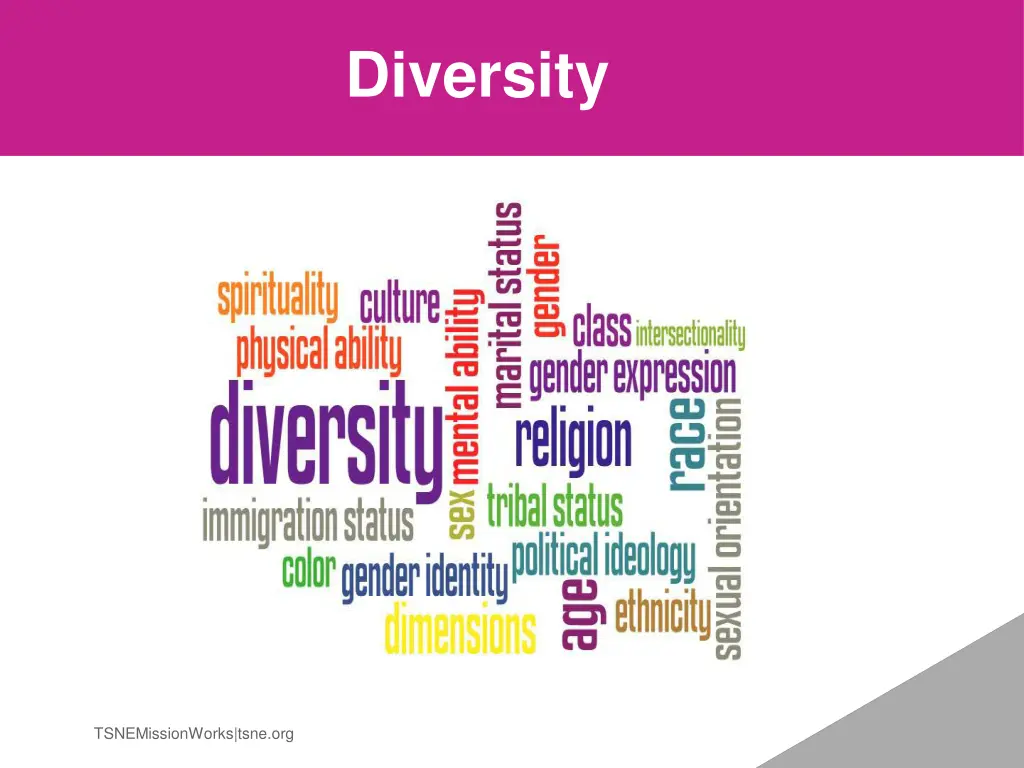 diversity 1