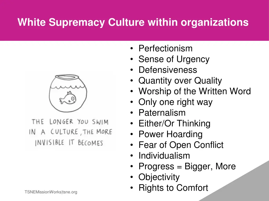white supremacy culture within organizations