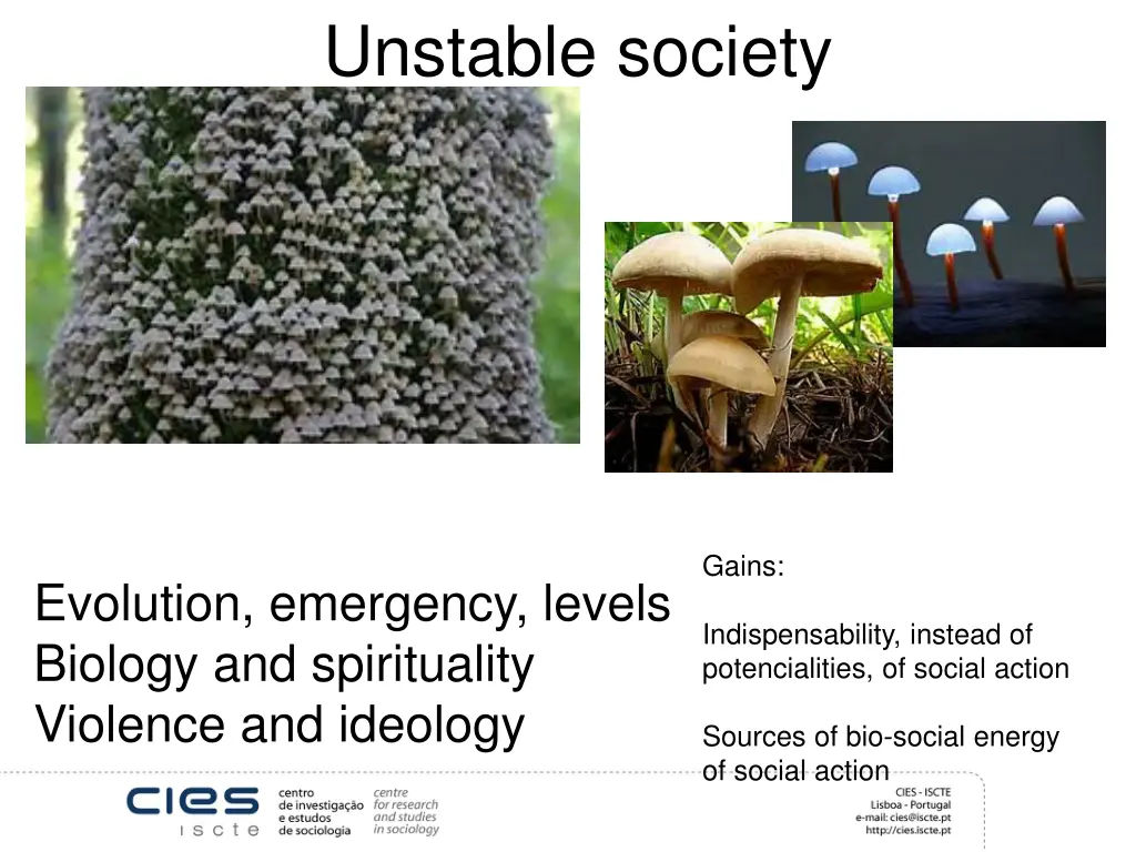 unstable society