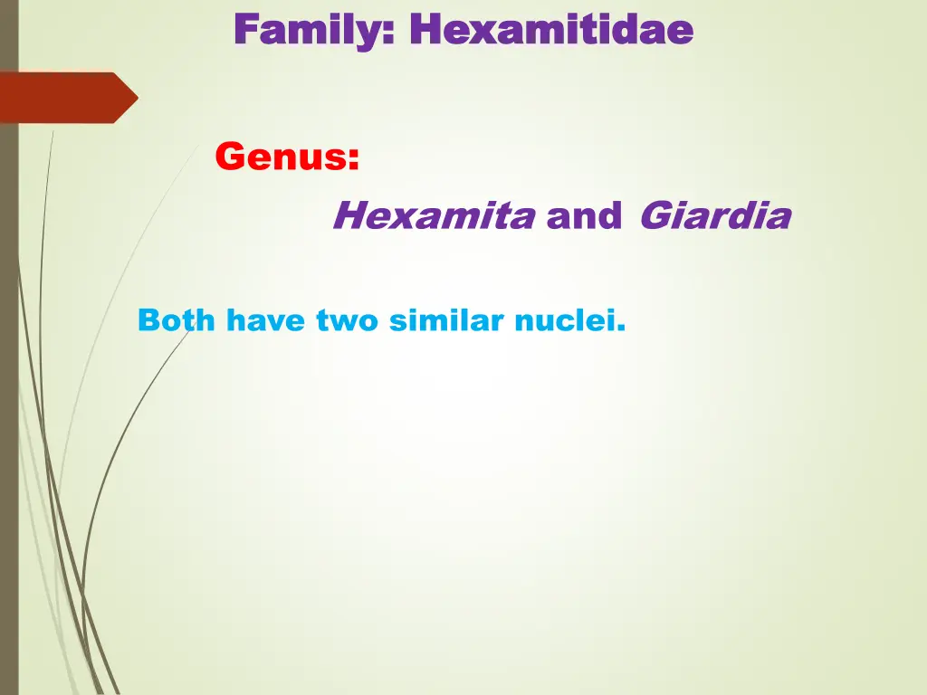 family family hexamitidae hexamitidae