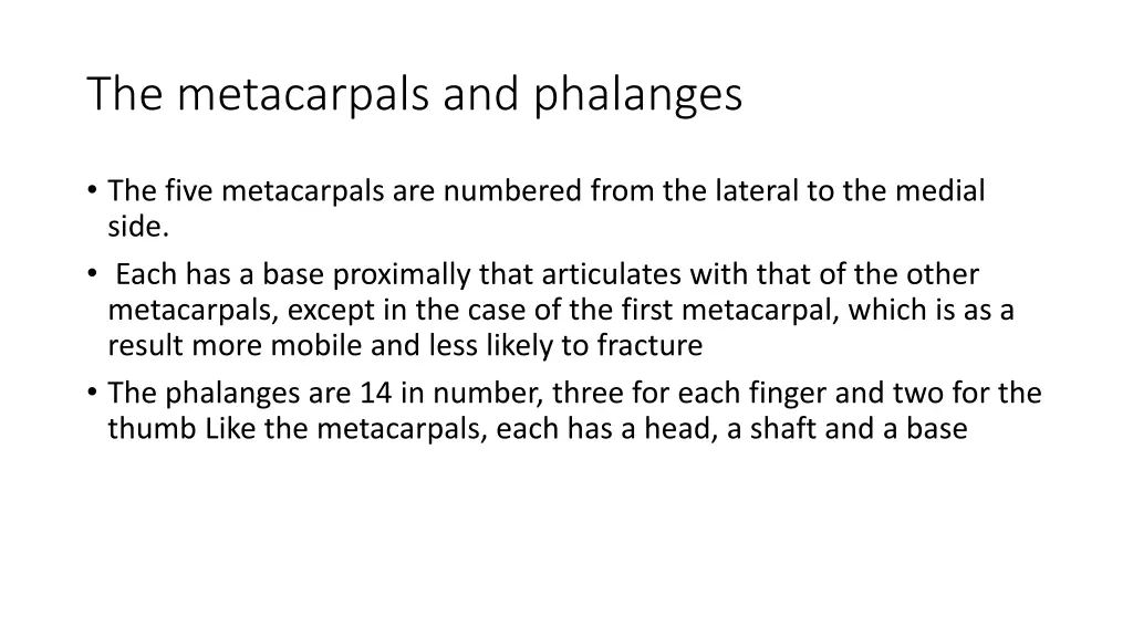 the metacarpals and phalanges