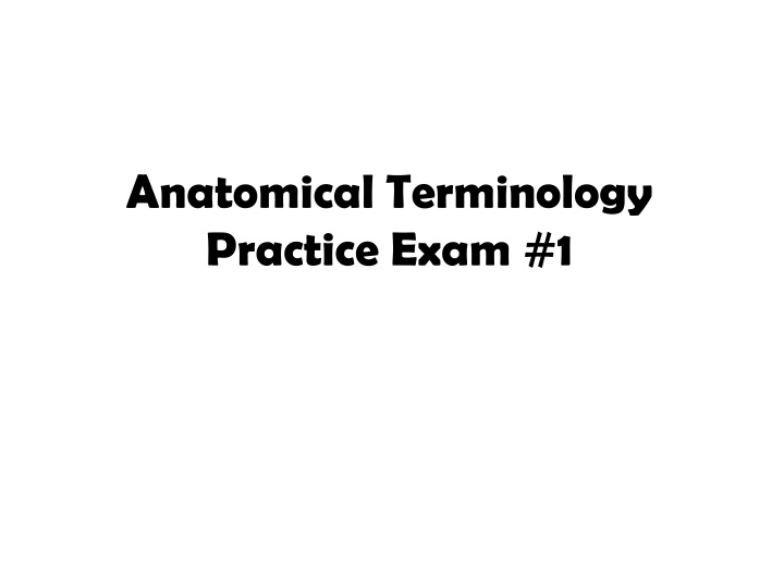 anatomical terminology practice exam 1