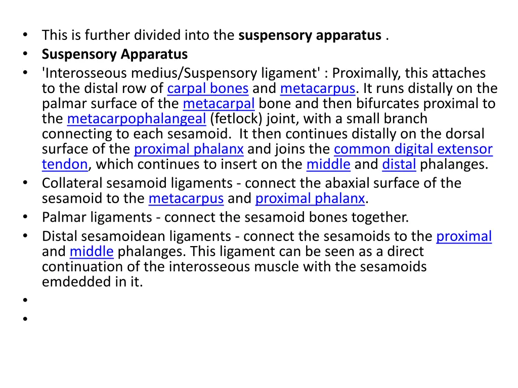 this is further divided into the suspensory