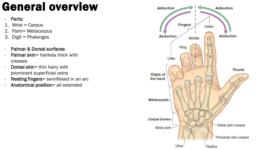 general overview general overview