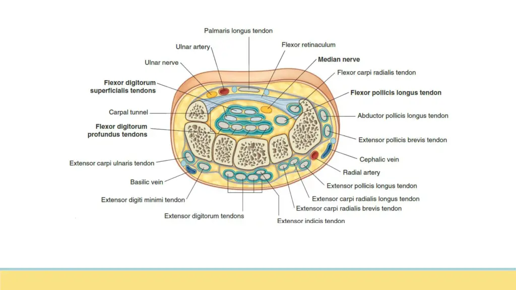 slide11