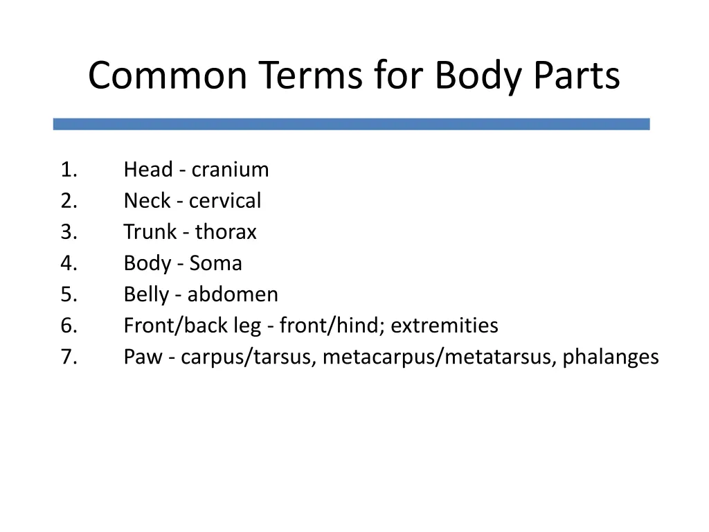 common terms for body parts