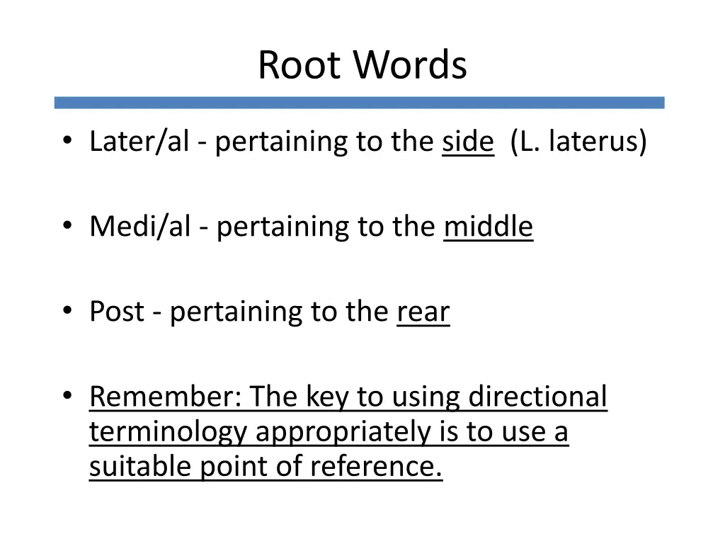 root words 1