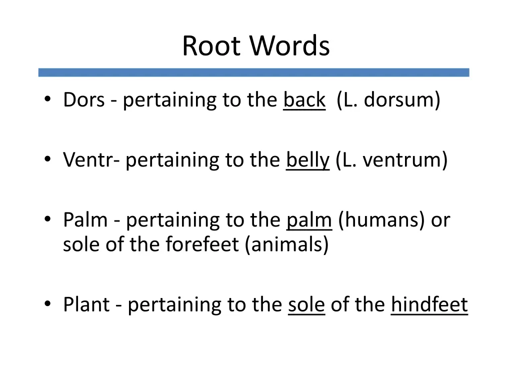 root words