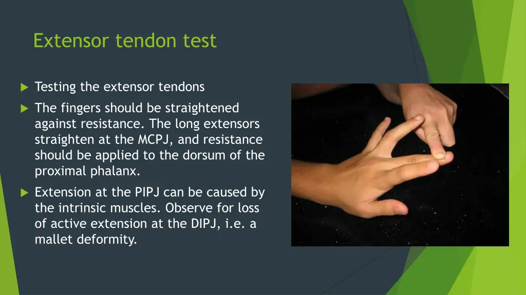 extensor tendon test