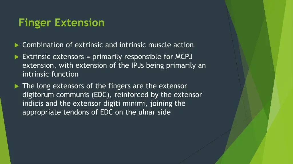 finger extension