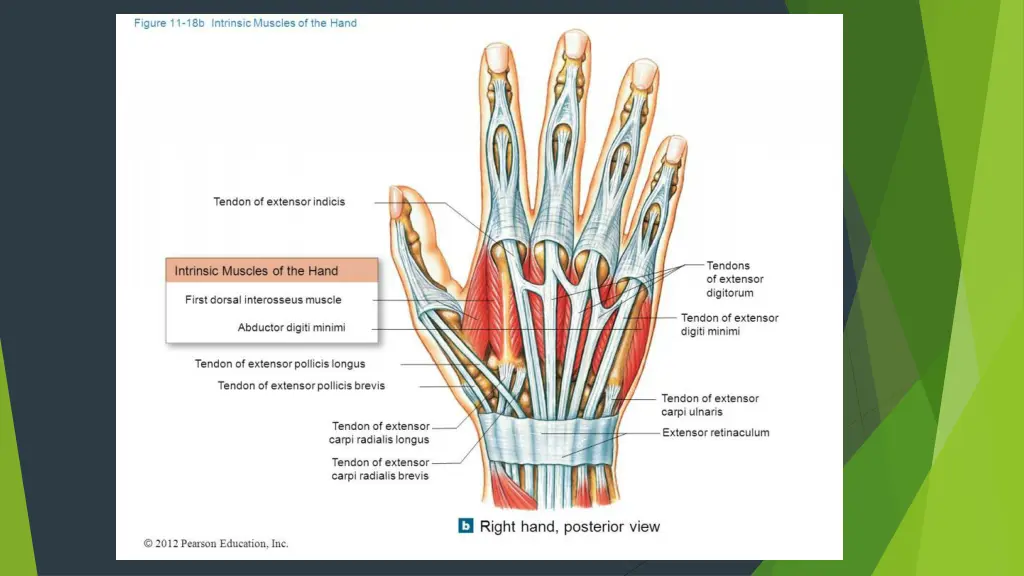 slide17