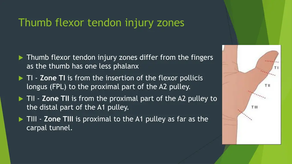 thumb flexor tendon injury zones