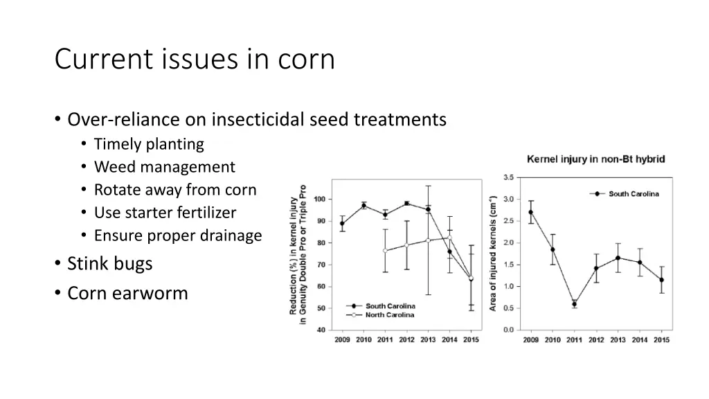 current issues in corn