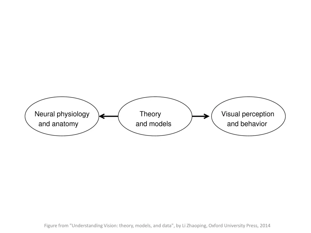 figure from understanding vision theory models 1