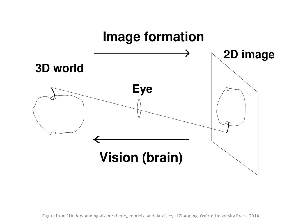 figure from understanding vision theory models 2