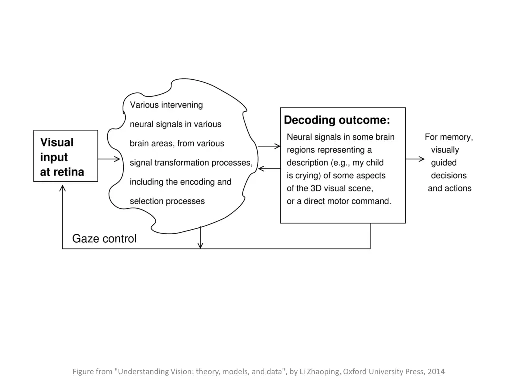 figure from understanding vision theory models 7