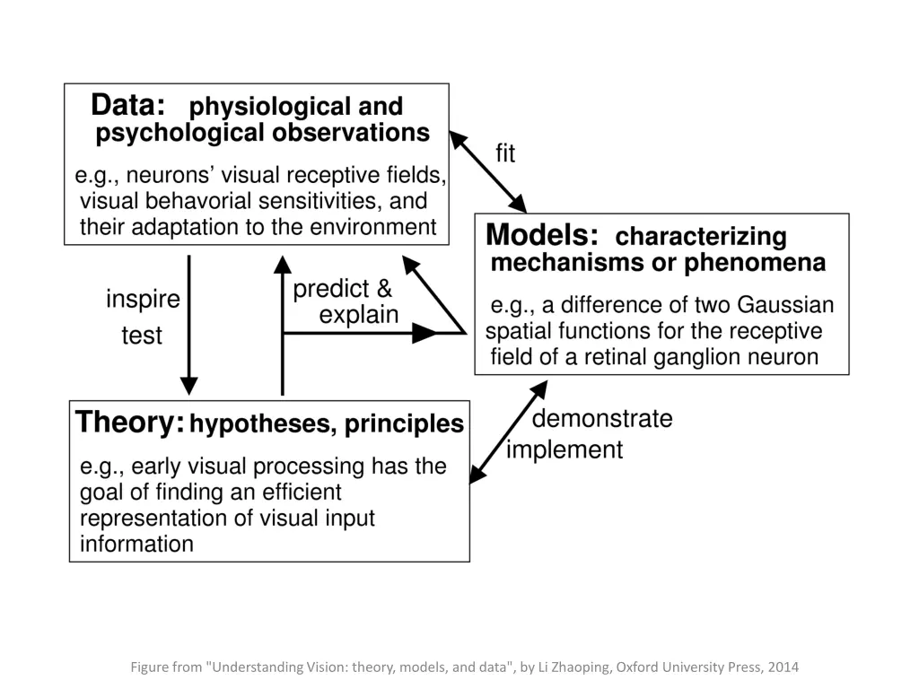 figure from understanding vision theory models