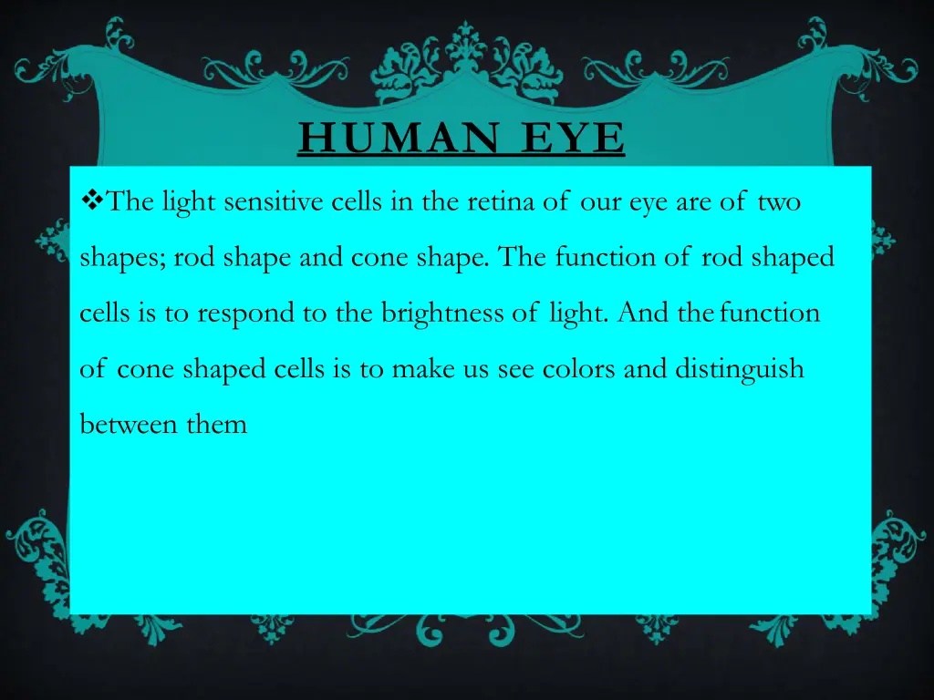 human eye 3