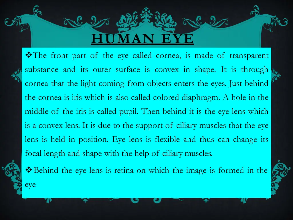 human eye