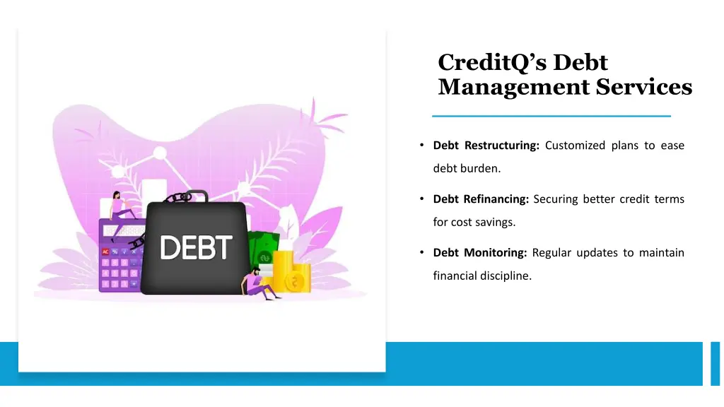 creditq s debt management services