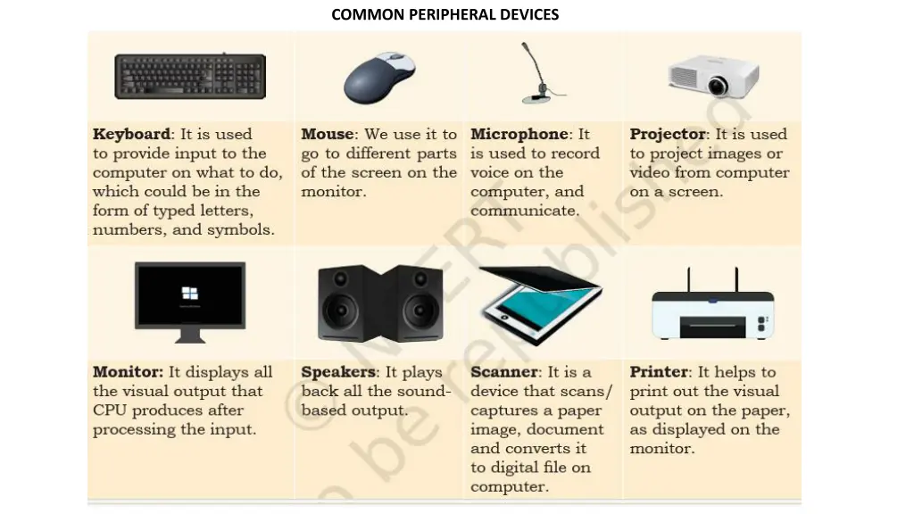 common peripheral devices