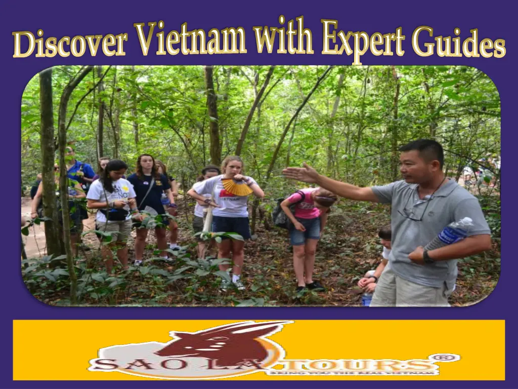 discover vietnam with expert guides 2