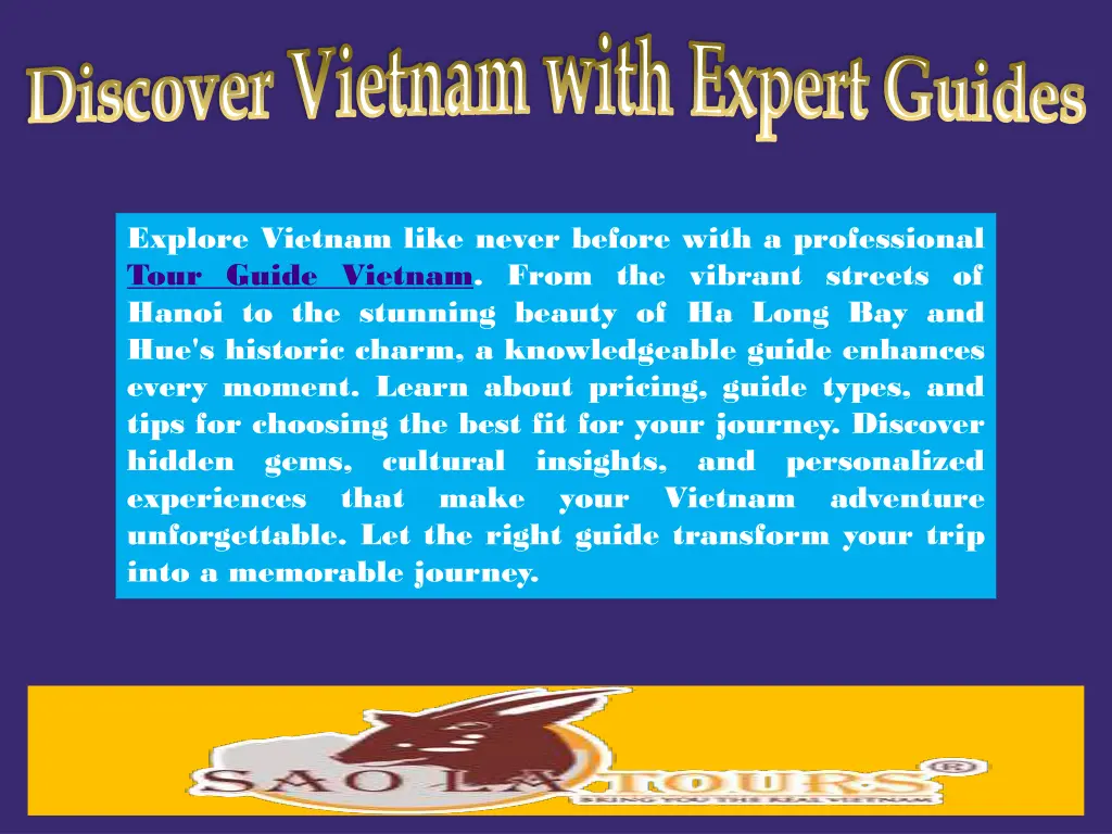 discover vietnam with expert guides 3