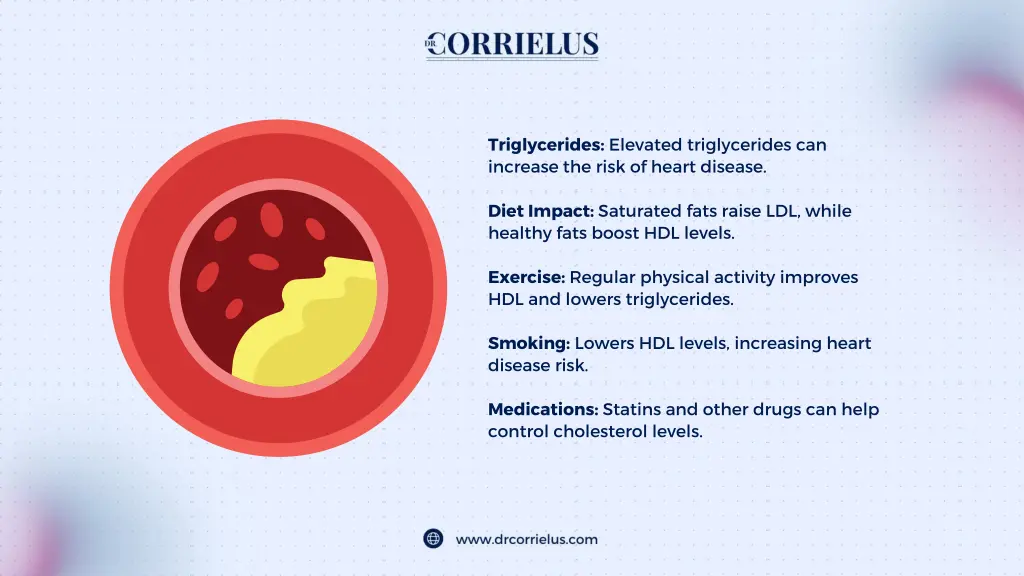 triglycerides elevated triglycerides can increase