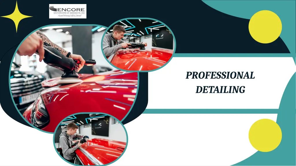 professional detailing