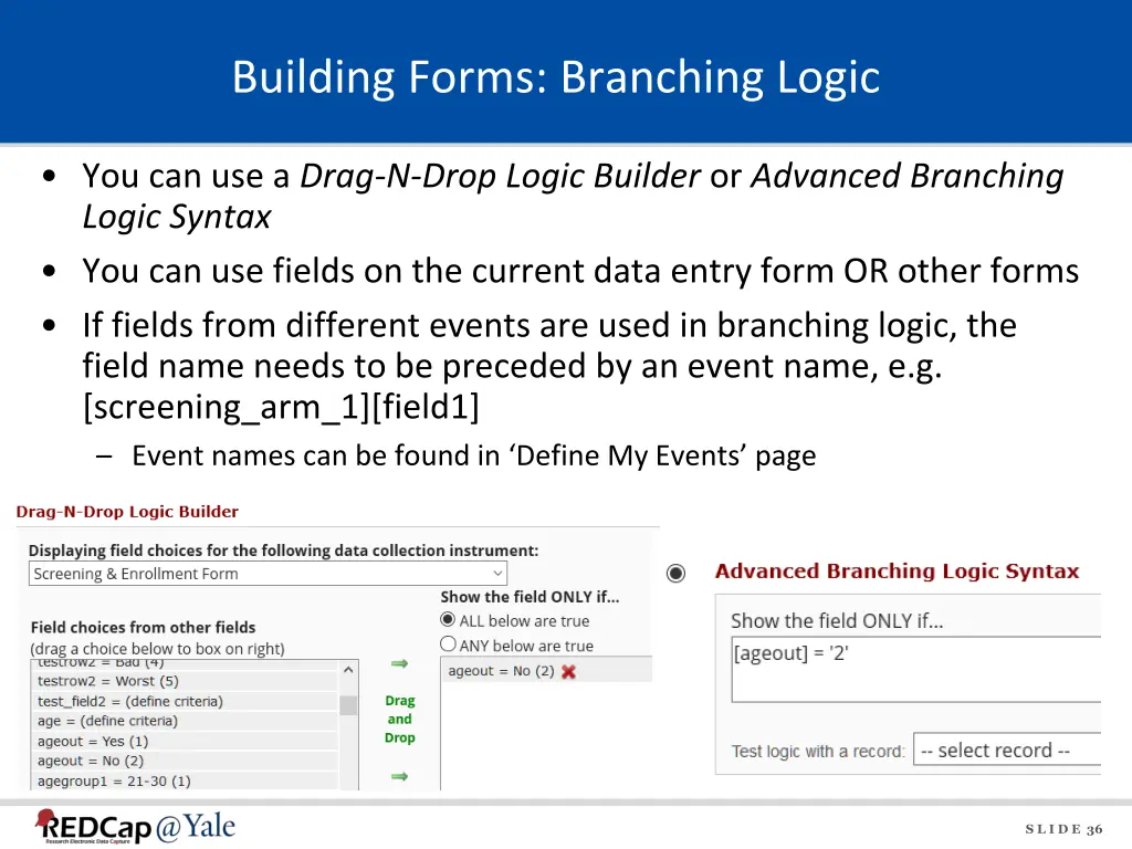 building forms branching logic