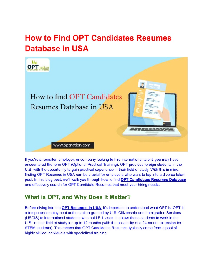 how to find opt candidates resumes database in usa