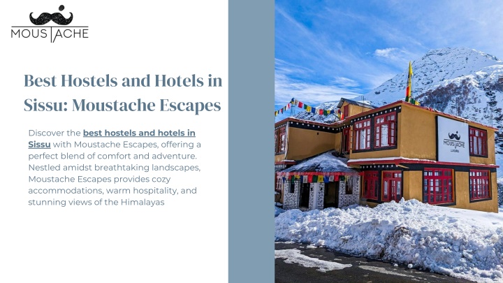 best hostels and hotels in sissu moustache escapes